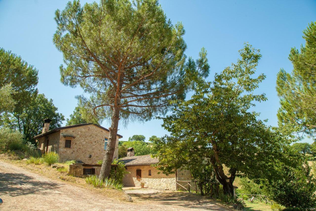 Agriturismo Bio Tra Cielo E Terra Apartamento Grutti Exterior foto