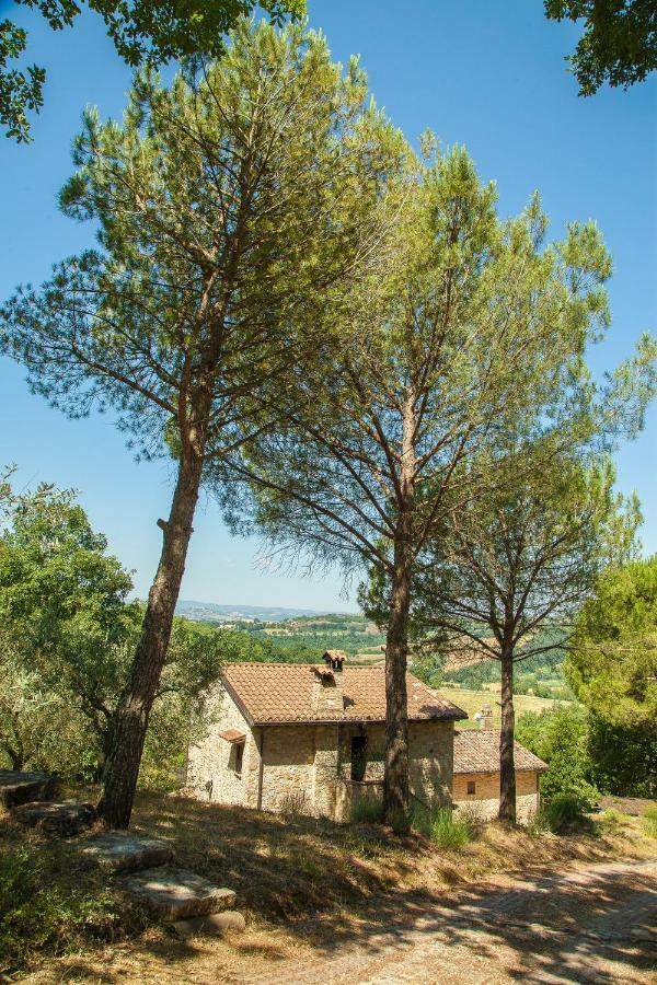 Agriturismo Bio Tra Cielo E Terra Apartamento Grutti Exterior foto