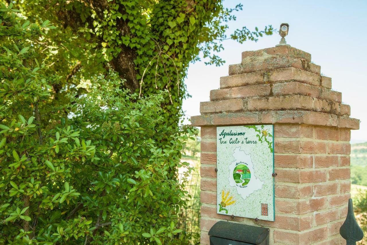 Agriturismo Bio Tra Cielo e Terra Grutti Exterior foto